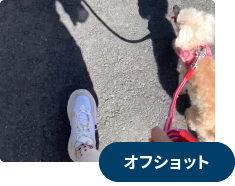 オフショット