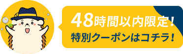 お試し後48時間限定特別クーポン