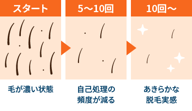 変化の図