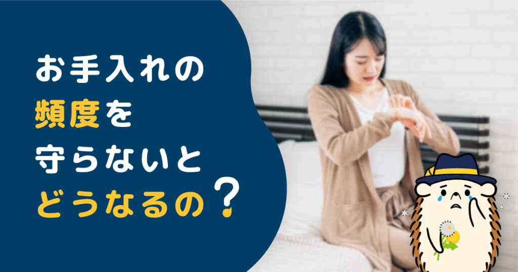 お手入れの頻度