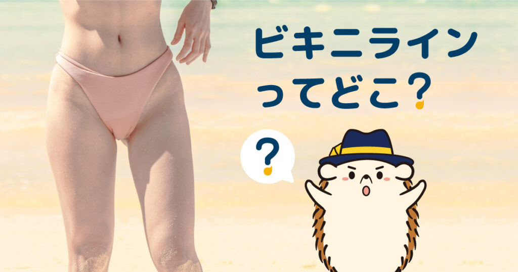 ビキニラインとはそもそもどこ？