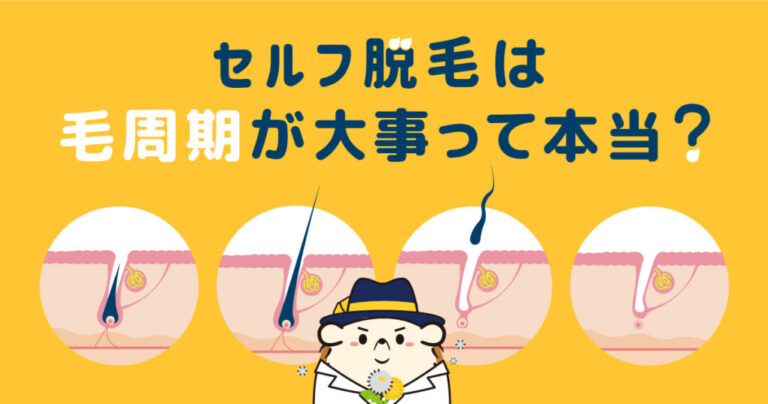 セルフ脱毛は毛周期が大事って本当？効果的な脱毛法や注意点を解説