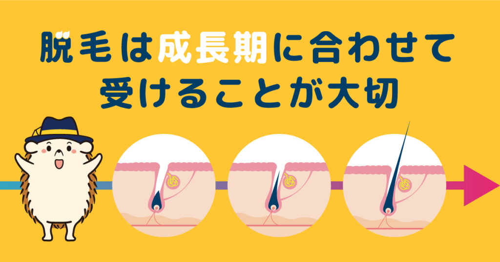 脱毛は成長期に合わせて受けることが大切