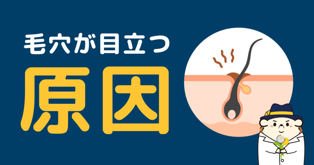 そもそも毛穴が目立つ原因は?