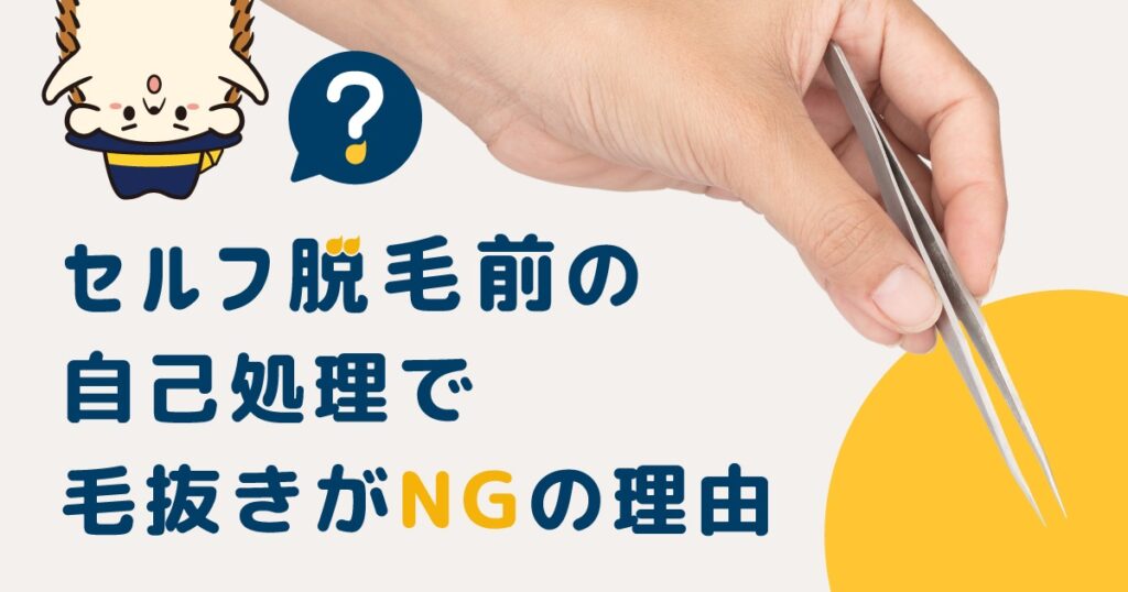 セルフ脱毛前の自己処理で毛抜きがNGな理由