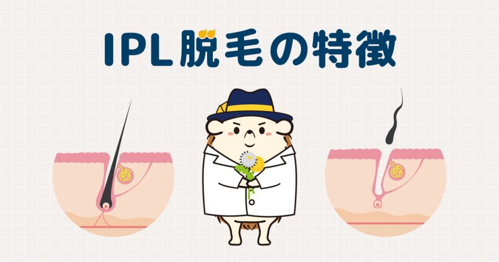 セルフ脱毛器の多くに使われているIPL脱毛の特徴