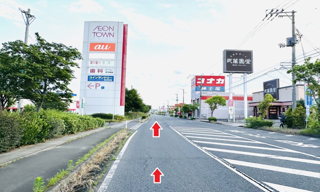 イオンタウン佐沼出入り口付近より北側(登米市迫庁舎方面)へ500ｍ直進します。